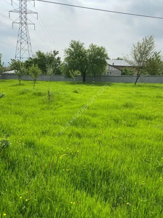 akyazı satılık mustakil ev