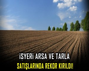 İşyeri arsa ve tarla satışlarında rekor kırıldı!