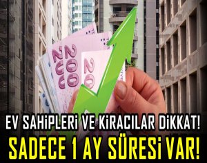 Ev sahipleri ve kiracılar dikkat! Sadece 1 ay süresi var!