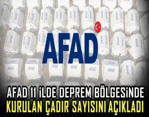 AFAD 11 ilde deprem bölgesinde kurulan çadır sayısını açıkladı