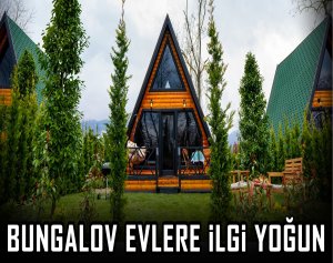 Bungalov evlere ilgi yoğun