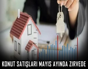 Konut satışları Mayıs ayında zirveyi gördü!