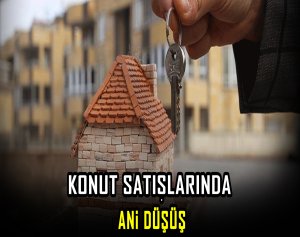 Konut satışlarında ani düşüş