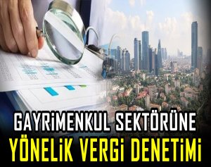 Gayrimenkul sektörüne yönelik vergi denetimi