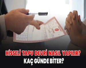 Hisseli Tapu devri nasıl yapılır Kaç günde biter