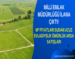 Milli Emlak Müdürlüğü İlana Çıktı! m2 Fiyatları Sudan Ucuz Evladiyelik Ömürlük Arsa Satışları