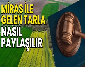 Miras ile Gelen Tarla Nasıl Paylaşılır