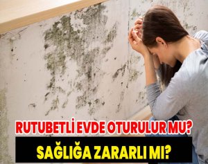 Rutubetli Evde Oturulur mu? Sağlığa Zararlı mı?