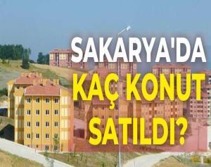 Sakarya'da Kaç Konut Satıldı