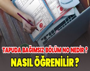 Tapuda Bağımsız Bölüm No Nedir? Nasıl Öğrenilir?