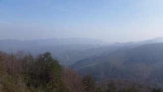 SATILIK EVLİ VERİMLİ FINDIK BAHÇESİ