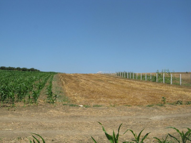 acil sahibinden satilik arsa 2400 m2 sakarya kaynarca da sakarya emlak ilan