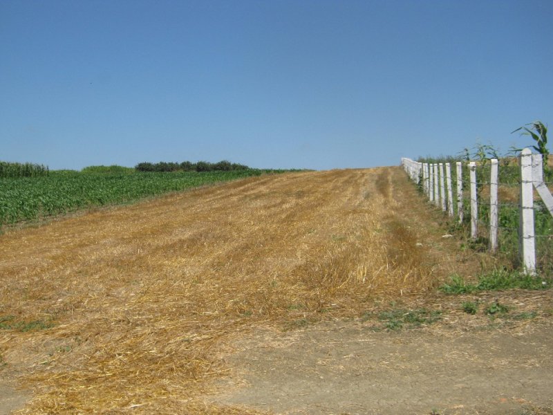 acil sahibinden satilik arsa 2400 m2 sakarya kaynarca da sakarya emlak ilan