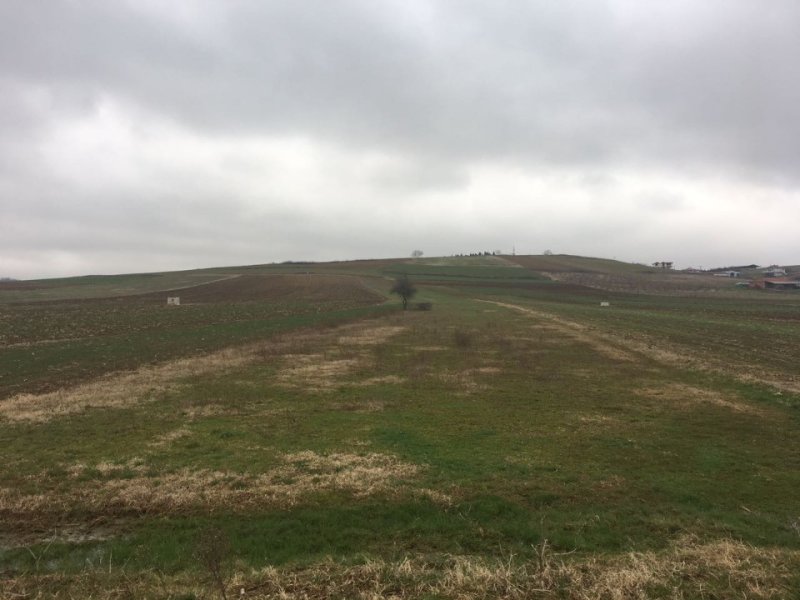 SAKARYA KORUCUK MAHALLESİNDE 500 M2 İMARLI SATILIK ARSA