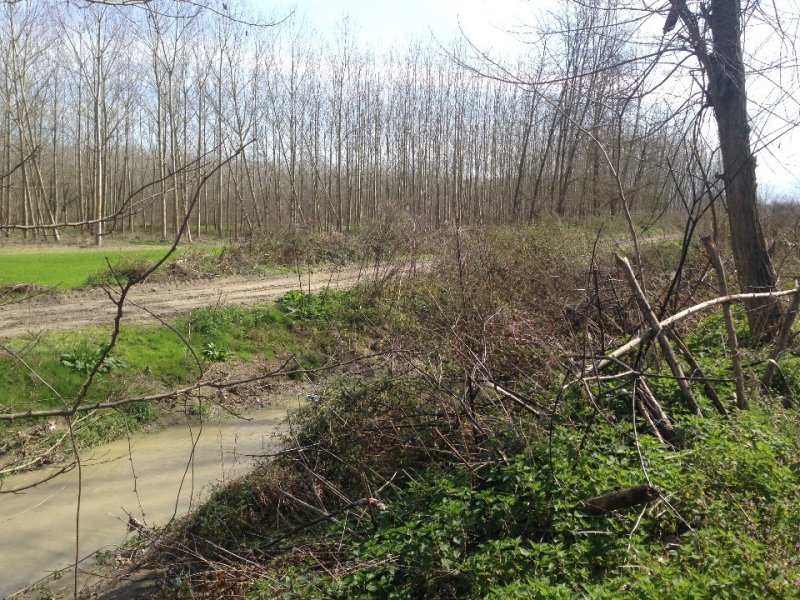Satılık Tarla