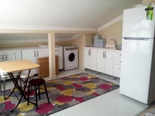 SAKARYA ADAPAZARI MERKEZDE EŞYALI 1+1 APART DAİRE