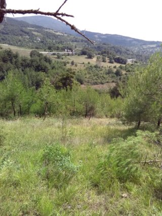 sakarya geyve satilik tarla arazi sakarya emlak ilan