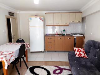 SAKARYA ERENLER MERKEZDE KİRALIK EŞYALI 1+1 DAİRE