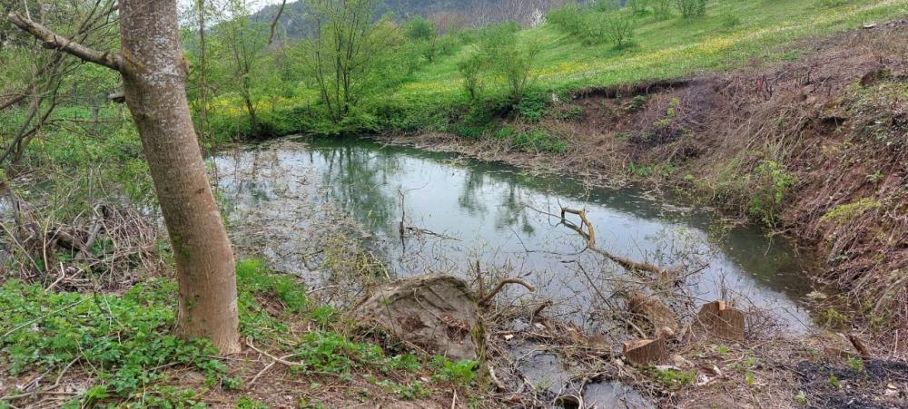 PAMUKOVA KAZIMİYEDE  KÖY İÇİNDE BAHÇE