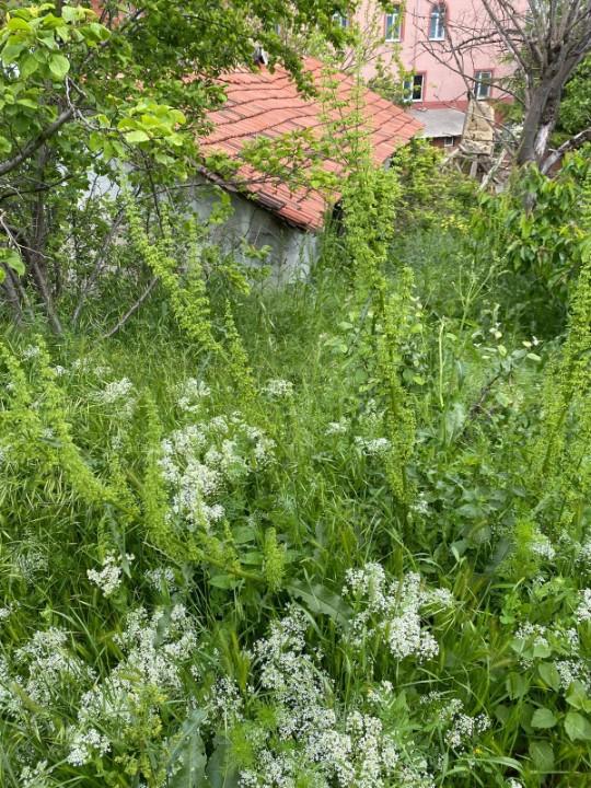 TARAKLIDA SATILIK KÖY ARSASI