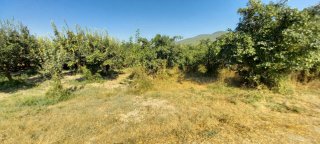 AVCI EMLAK'TAN GEYVE KOZAN KÖYÜNDE 1087 m2 HOBİ BAHÇELİK SU KANALINA CEPHE HESAPLI