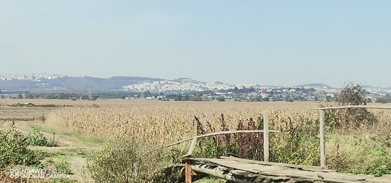 HER GEÇEN GÜN DEĞER KAZANAN  BÖLGEDE