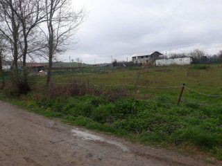 Adapazarı Kayrancık Köyü Satılık Tarla