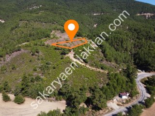 ÇAMLIK 2090 m² PANORAMİK MANZARALI DOĞA İLE İÇ İÇE HOBİ BAHÇELİK