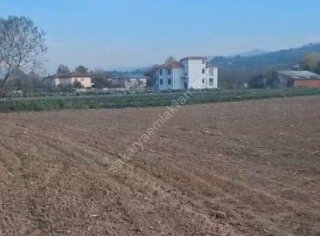 ARİFİYE HACIKÖY'DE FIRSAT SATILIK TARLA