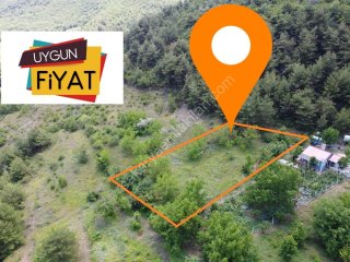 GEYVE OKUL MAH. MERKEZE YAKIN 1052 m² MANZARALI ETRAFI ÇEVRİLİ TAM HOBİ BAHÇELİK