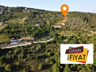 GEYVE KÖPRÜBAŞI MAHALLESİNDE 1127 m² MANZARALI TİNY HOUSE VE PREFABRİK İÇİN KONUMDA