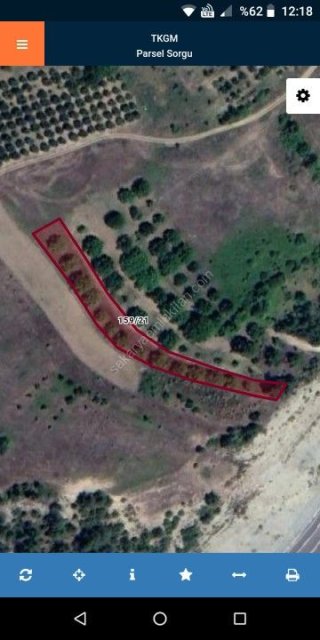 GEYVE AHİBABA KÖYÜ !!! ACİL ! FİYAT DÜŞTÜ - 1808 m² YETİŞMİŞ CEVİZLİK - KAÇMAZ FIRSAT !