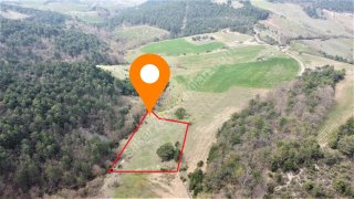 GEYVE AHİBABA'DA 4437 m² RESMİ YOLA CEPHELİ YATIRIMLIK ARAZİ