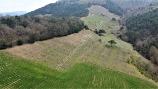 GEYVE AHİBABA KÖYÜNDE 10782 m² ARAÇ TAKASLI, EMSALLERİNE GÖRE HESAPLI FIRTSAT ARAZİ