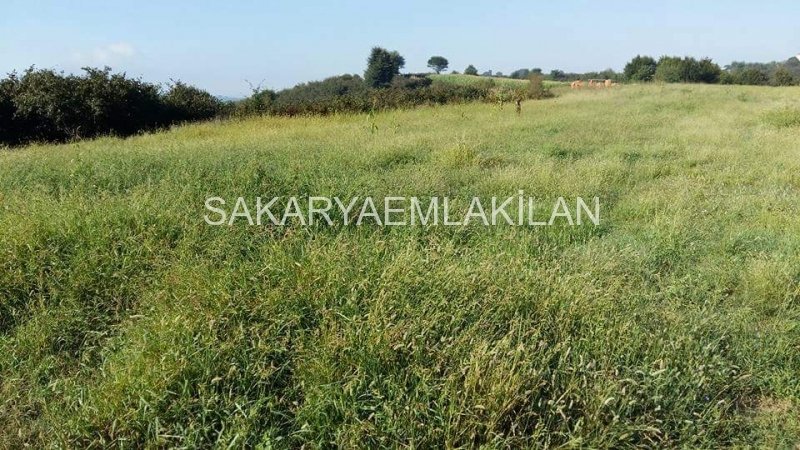 Satılık Tarla Arazi - Sakarya Ferizli Ceylandere