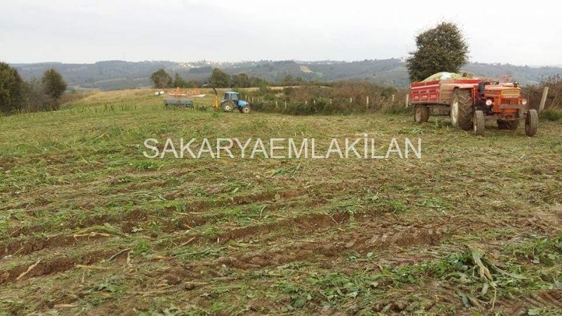 Satılık Tarla Arazi - Sakarya Ferizli Ceylandere