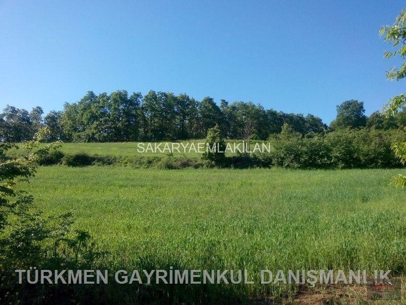 Satılık Tarla Arazi - Sakarya Adapazarı Camili-1