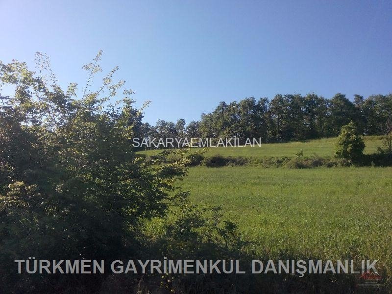 Satılık Tarla Arazi - Sakarya Adapazarı Camili-1