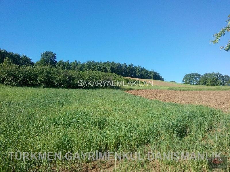 Satılık Tarla Arazi - Sakarya Adapazarı Camili-1