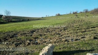 Satılık Tarla Arazi - Sakarya Taraklı Dışdedeler