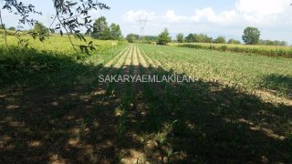 Satılık Arsa - Sakarya Erenler Pekşenler