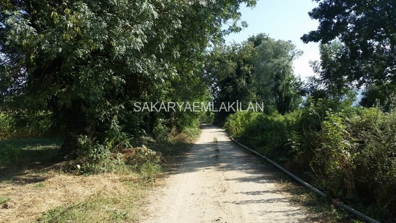 Satılık Arsa - Sakarya Erenler Pekşenler