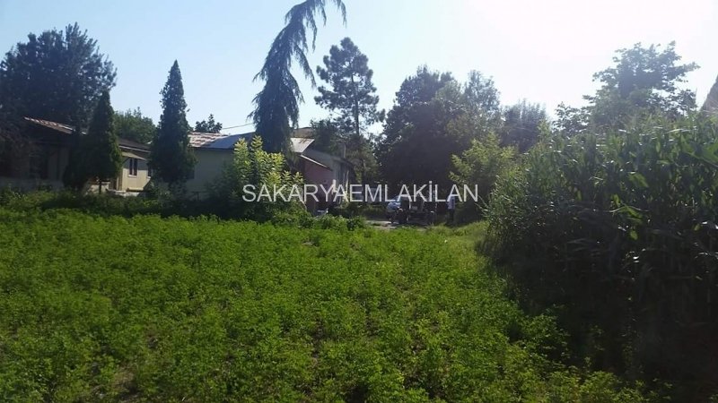 satilik arsa sakarya erenler peksenler sakarya emlak ilan