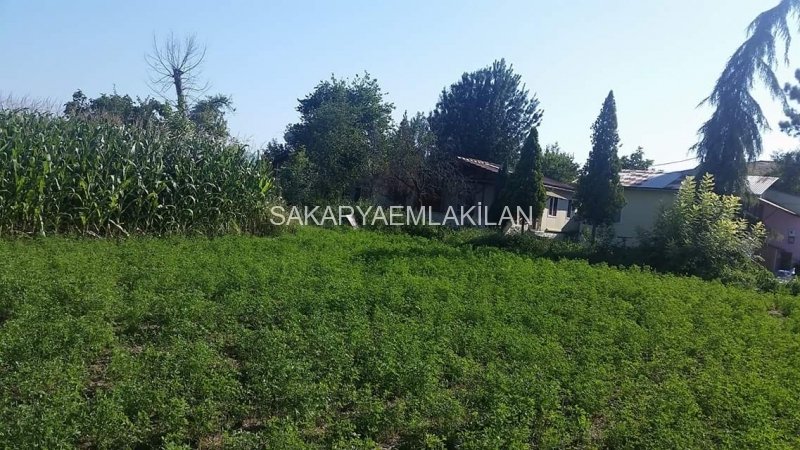 satilik arsa sakarya erenler peksenler sakarya emlak ilan