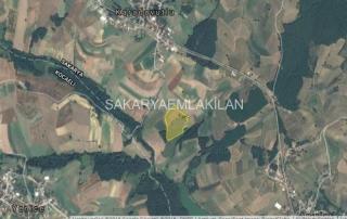 Satılık Tarla Arazi - Sakarya Adapazarı Karadavut