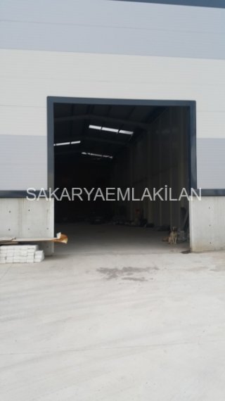 Kiralık Fabrika - Sakarya Söğütlü Yeniköy