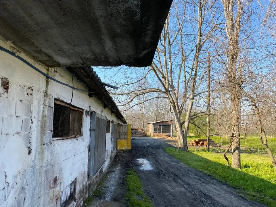 SAKARYA ARİFİYE ADLİYE KÖYÜNDE SATILIK TAVUK ÇİFTLİĞİ