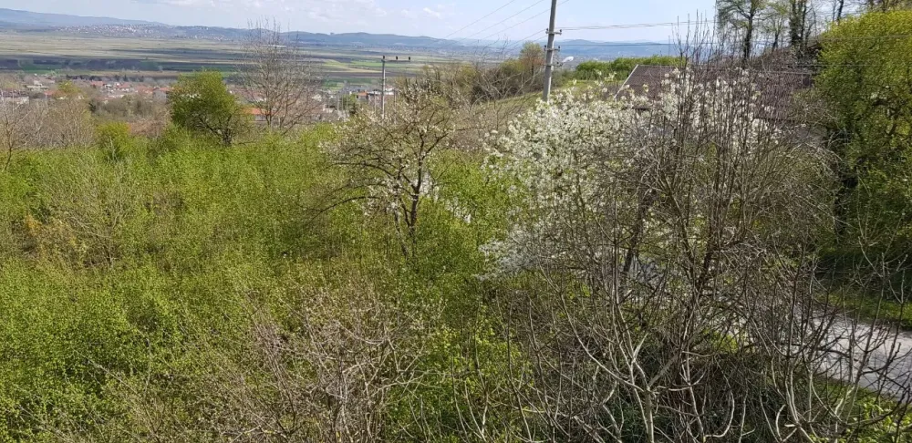 SAKARYA SERDİVAN'DA SATILIK MUHTEŞEM KONUMDA MÜLK 4500.M2