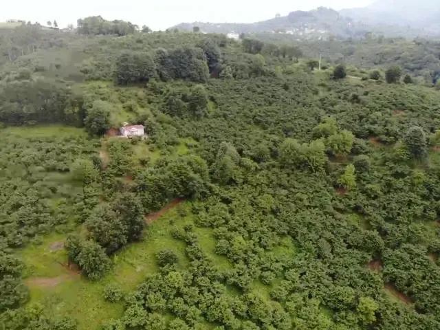 Sahibinden Şerefiye'de 10.489m2 İmarlı Satılık Arsa