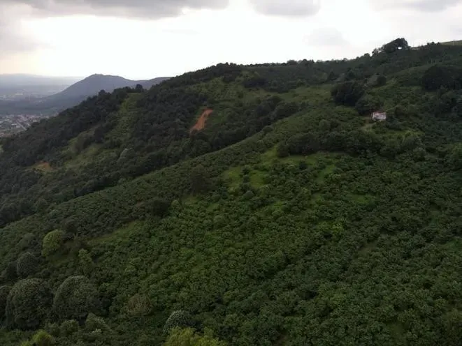 Sahibinden Şerefiye'de 10.489m2 İmarlı Satılık Arsa